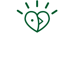 Mavericks Foundation Supports Local Communities