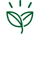 Vibrant salads & Veggies